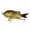 1#, variant on BE-TOOL Fishing Crankbait Lure Fishing Crankbait Fishing Bass Swimbaits for Bass Trout Musky Pike