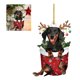 thumbnail image 5 of Trineo Cachorro Navidad Dibujos Animados Dachshund Ornamento Acrílico Fiesta Suministros (F), 5 of 9