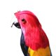 thumbnail image 3 of Guacamayo artificiales, loro de pájaro para decoración de jardín, accesorio Rojo Zulema Estatua de loro, 3 of 7