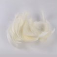 thumbnail image 3 of 500 Pcs de Plumes Blanches pour Décoration de Mariage, Maison, Fête, 3-5 Pouces, 3 of 7