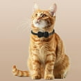 thumbnail image 5 of Cat Tracker,Tracking Pet Collar with IP53 Waterproof Finder Tag Case,No Monthly Fee Cat Tracker Compatible with Apple Find My (iOS Only),Breakaway Cute Bow Design,Black, 5 of 9