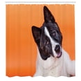 thumbnail image 2 of Ambesonne Dog Lover Shower Curtain, Akita on Orange, 69"Wx84"L, Orange Charcoal Grey, 2 of 4