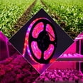 thumbnail image 4 of 2 Pcs Grow Lights Strips for Indoor Plants,Full Spectrum plant light, For Shelves Hydroponics Succulent(16.4ft), 4 of 9