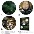thumbnail image 3 of Designart "Tigers In Asian Painting I" Asian Floater Framed Wall Decor, 3 of 7