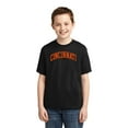 thumbnail image 2 of Wild Bobby Cincinnati CIN American Football Cities | Classic Varsity College Style Fantasy Fan, Trendy Team Streetwear Sports Unisex Boys Girls Graphic Youth T-Shirt, 2 of 6