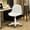 White, variant on XUEGW Small Desk Task Chair 1 Pack, Cute Armless Vanity Chairs with Soft Padded Cushion, Plastic Height-Adjustable Home Office Chairs for Teens Girls, White
