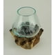 thumbnail image 3 of Zeckos Clear Vidrio fundido sobre base de madera flotante de teca Tazón decorativo Florero Terrario Maceta Zeckos 23645, 3 of 4