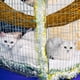 thumbnail image 2 of Hamaca Colgante para Gatos Jetec Reversible Suave y Transpirable 2 piezas, 2 of 7