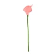 thumbnail image 1 of Kaireo Household Imitation, Simulation Calla Lily Coral Color, Artificial Flowers, 1 Artificial Calla Lily, 1 of 9