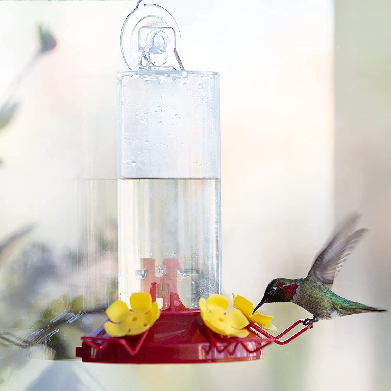 Plastic Window Mount Hummingbird Feeder with Perches - 8 oz Hummingbird Nectar Capacity, 217 - Hummingbirds feeders for Outdoors, (Pack of 2)
