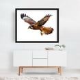 thumbnail image 2 of The flight of the falcon - Photography Bird Wildlife Animal Nature Illustration Wilderness Scenic Black Framed Wall Art Print 12 x 16 inches, 2 of 3