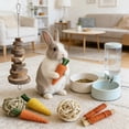 thumbnail image 7 of Rabbit Chew Toys for Teeth Grinding – Wooden Small Animal Chew Set for Rabbits, Hamsters, Chinchillas and Guinea Pigs – Boredom Relief and Cage Destruction, 7 of 7