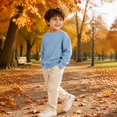 thumbnail image 6 of Tiijoy Sweatshirt for Boys Casual Solid Knit Long Sleeve Pullover Sweatshirts, Sizes 4-14, 6 of 8
