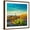 Brown Frame, variant on Art.com Picturesque, Serene Sunset in Saguaro National Park - Sonoran Desert - American Southwest. Stretched Canvas Print Wall Art by Katrina Leigh, 24" x 24"