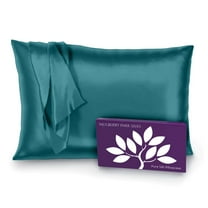 Mulberry Park 100% Silk Pillowcase - 22 Momme, Grade 6A Mulberry Silk - Hidden Zipper Closure - Teal/Queen (20" x 30")