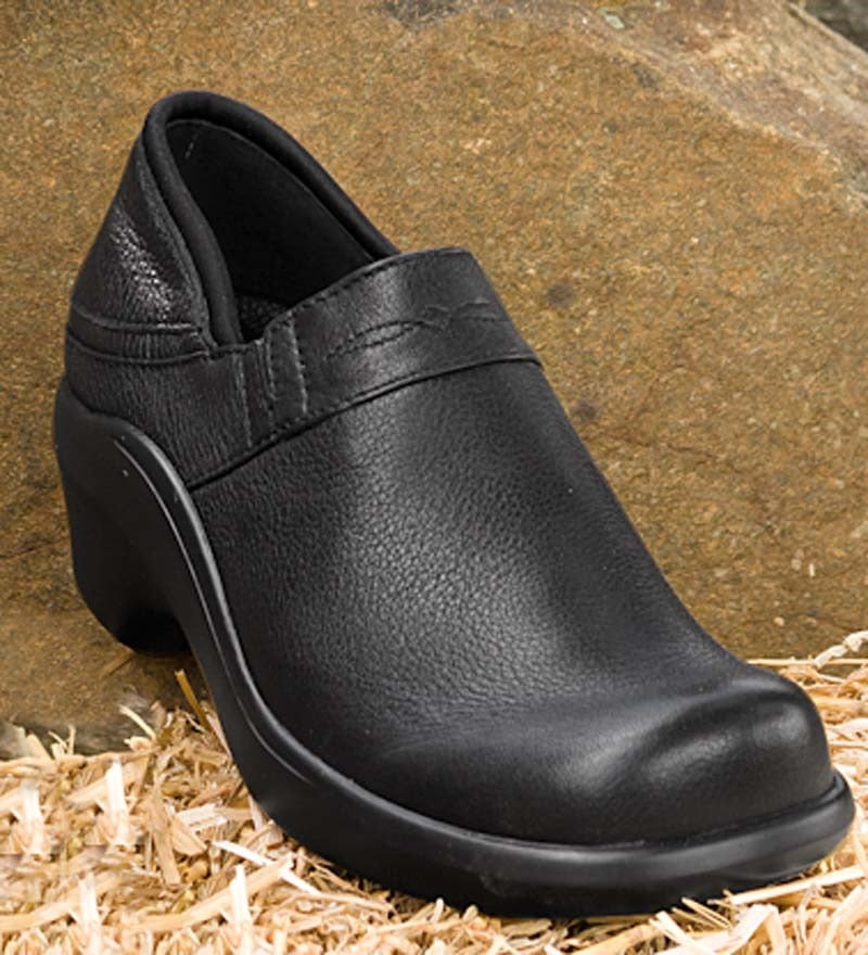 ariat santa cruz clog