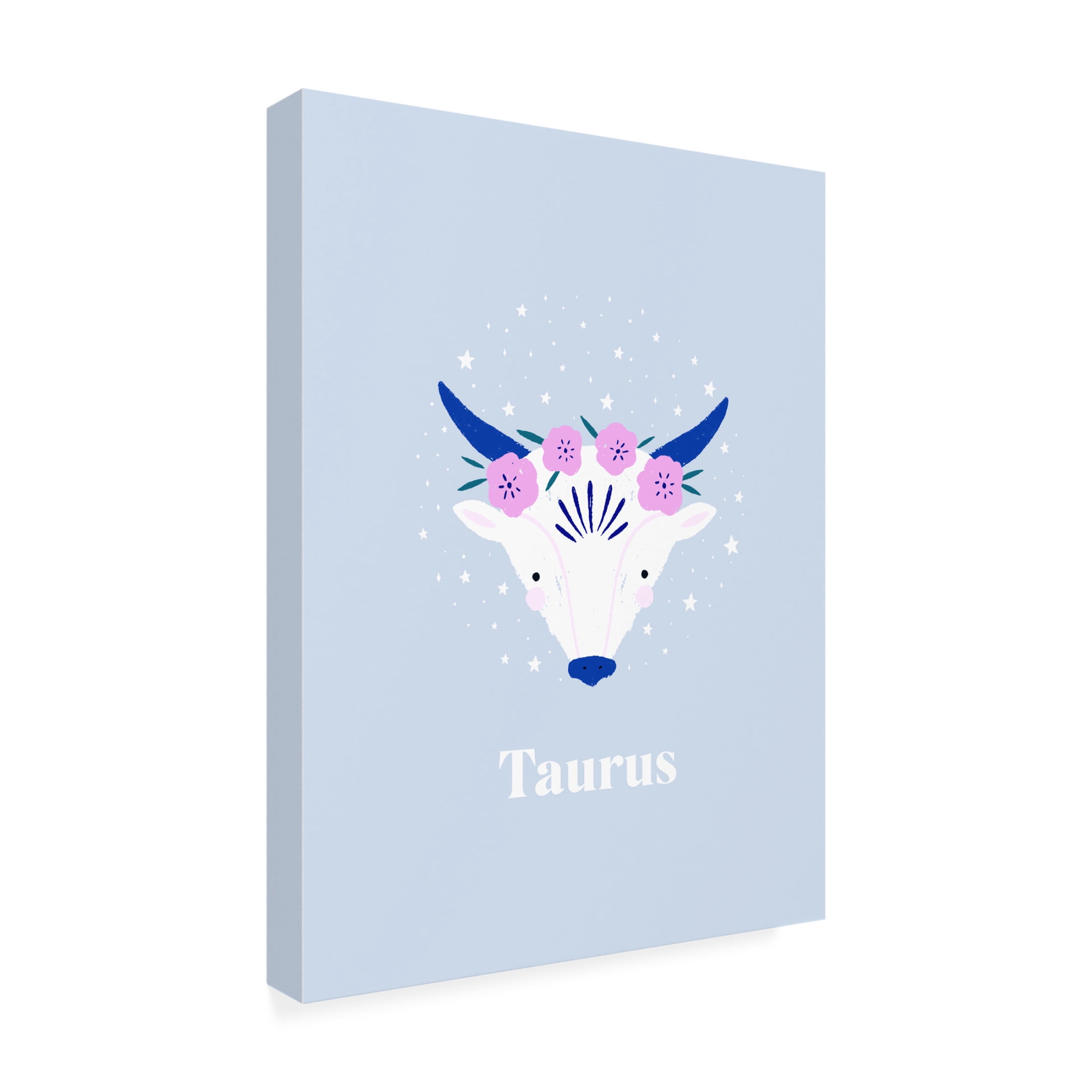 Trademark Fine Art Aislinn Simmonds  Taurus Canvas Wall Art