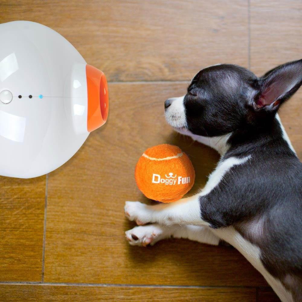 Dog toy fetch machine clearance