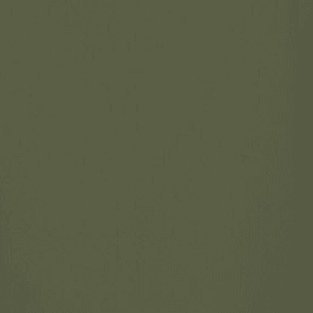 Dark Olive Green