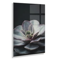 Kate and Laurel x F2Images Collaboration Lavender Succulent Floating Acrylic Art, 23x31, Decorative Succulent Decor