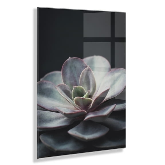 Kate and Laurel x F2Images Collaboration Lavender Succulent Floating Acrylic Art, 23x31, Decorative Succulent Decor