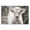 White Calf Portrait, variant on Stupell Industries Rustic Lodge Cattle Calf Gazing Canvas Art, 20 x 16, by George Dyachenko