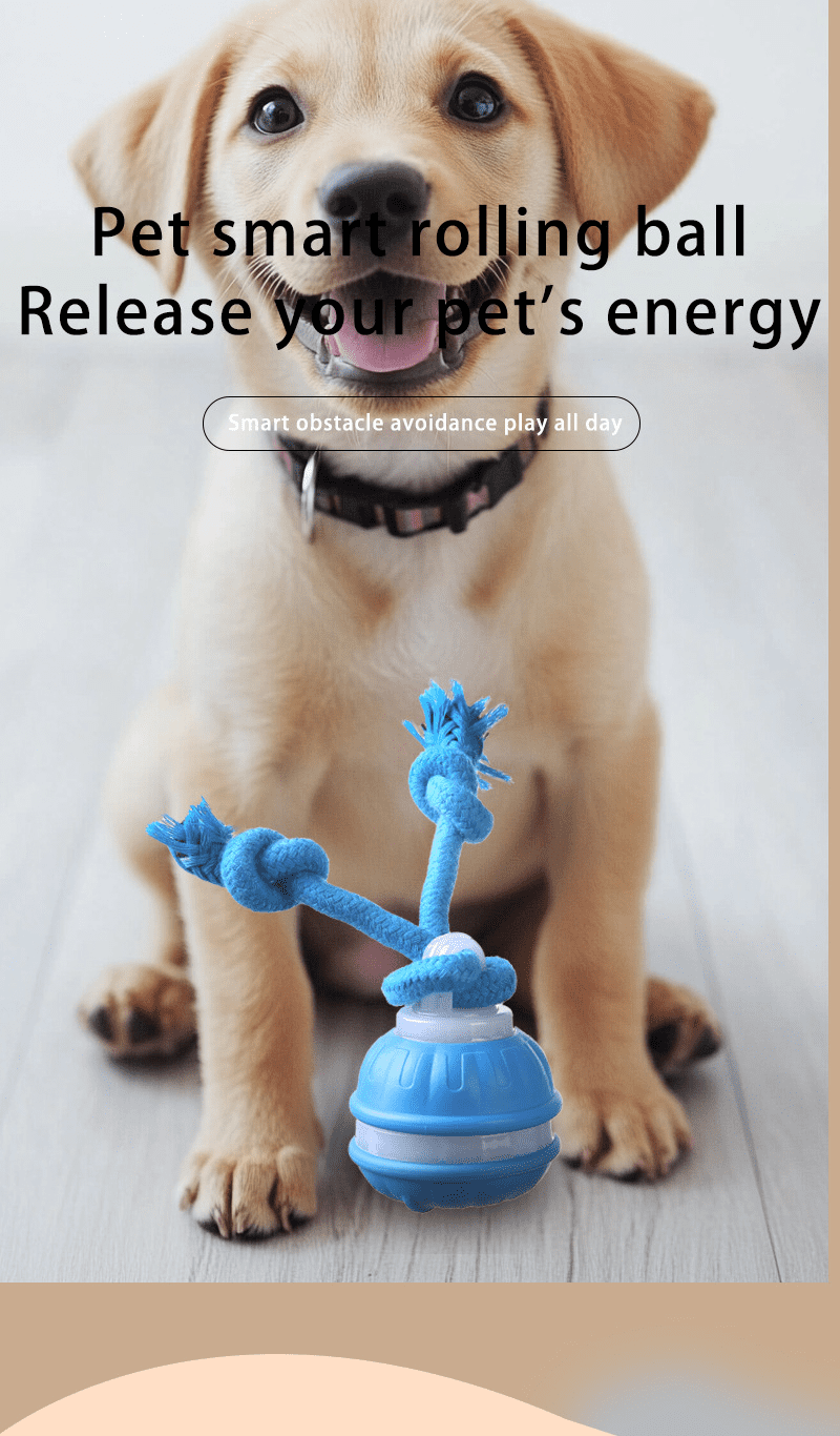 Interactive Dog Toys Ball, Fun Moving Motion Activated Dog Ball Toys to Keep Them Busy, Rechargeable Smart Automatic Rolling Dog Ball for Small Puppy Dogs