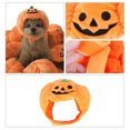 thumbnail image 4 of Sylvamorning Halloween Pets Simulation Spider Bat Costume Pumpkin Decorative, 4 of 8