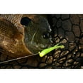 thumbnail image 2 of Z-Man MTIC-360PK8 Tiny TicklerZ Purple Death 1.75" 8 Pack Micro Finesse Bait, 2 of 2