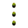 thumbnail image 3 of Toystoory Bonsái en maceta de cerámica negra suculenta verde Artificial, decoración de , planta de imitación para jardín, decoración Type1 NO1, 3 of 6