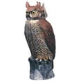 thumbnail image 1 of Dalen Gardeneer Rotating Head Great Horned Owl, 1 of 3