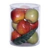 GwG Outlet Box of Small Decorative Apples in Shiny Red and Green Colors 47752