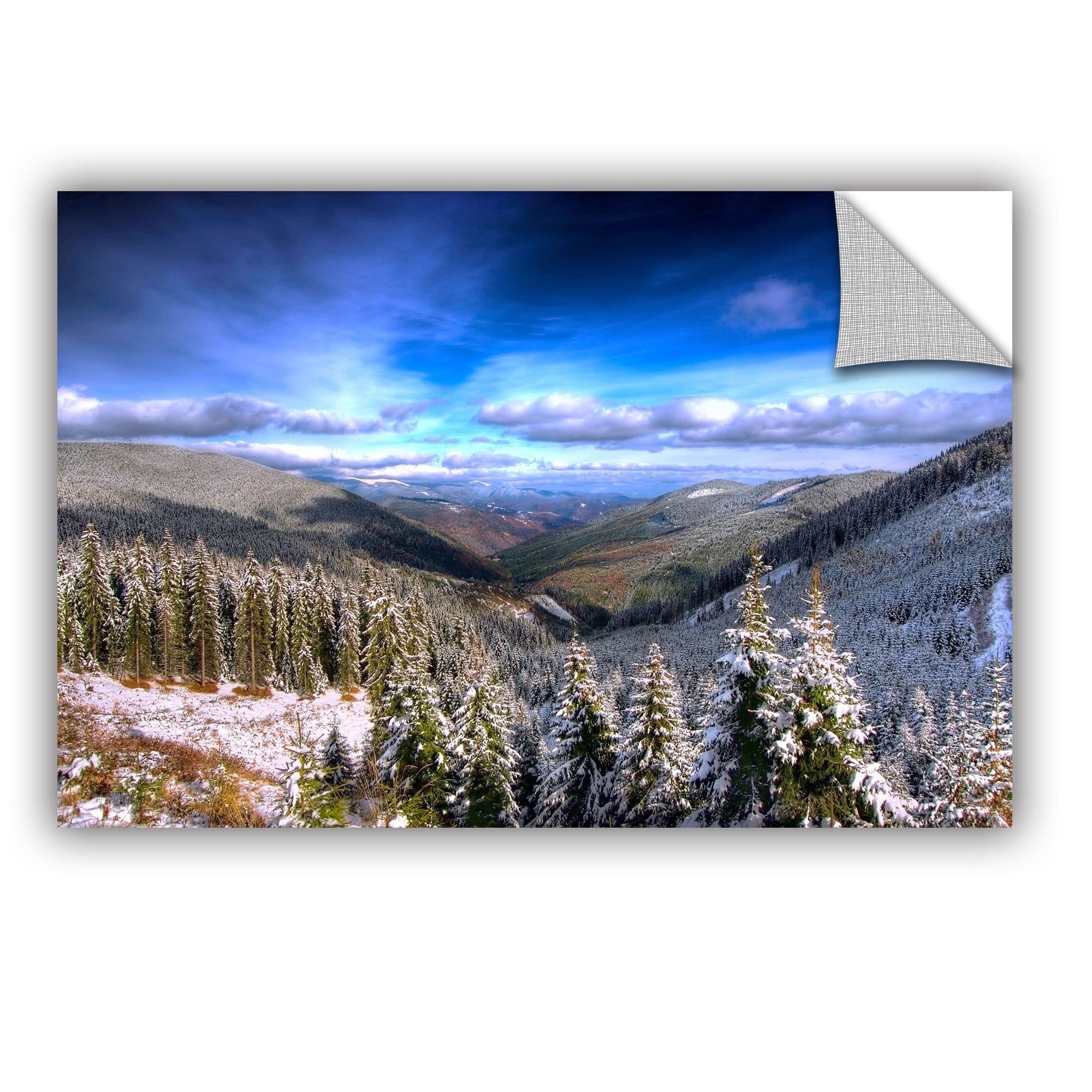 ArtAppealz Dragos Dumitrascu "Winter Vision "Removable Wall Art