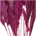 thumbnail image 4 of 35" Dried Plant Natural Foliage Pampas Bouquet with Long Stems, by DecMode, 4 of 7