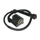 thumbnail image 4 of Bobina del motor,Bobina de encendido 3530-053 3430-064 21121-S006,33410-09F00 33410-19B10 5FU-82310-00-00,4KJ-82310-10-00 Piezas de repuesto para motor de automóvil,Repuestos para automóviles, 4 of 8