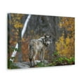thumbnail image 2 of Majestic Wolf Art Majestic Wolf Print Animal Wall Art Wildlife Canvas Prints Wall Art Ready to Hang Unframed, 2 of 18