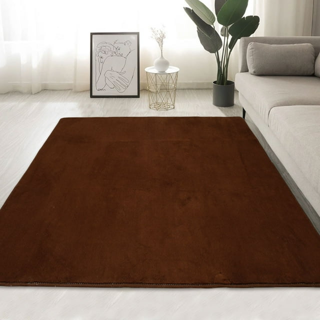 Atopoler Coral Velvet Carpet Solid Color Area Rugs Bedroom Living Room Floor Mats Non Slip