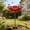 1 PACK, variant on Metal Flower Garden Stake Bird Bath with Deep Bowl, 24.8" Outdoor Bird Feeder & Bee Watering Station, Large Capacity Squirrel Feeding Bowl, Decorative Pollinator Yard Art for Garden Lawn (1 Pack)