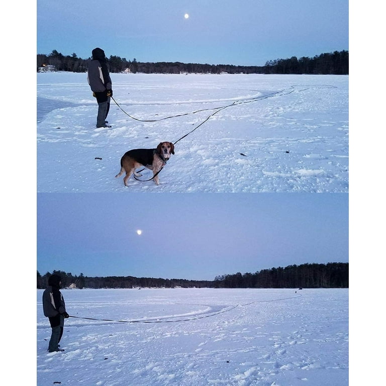 What Is A Dog Drag Leash