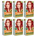 thumbnail image 1 of Nisha Crème Colorante pour Cheveux, Teinture Permanente Longue Durée Rouge, Rouge Cuivré, 5.29 oz (Lot de 6), 1 of 9