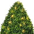 thumbnail image 2 of Vickerman Artificial 24" High X 15" Wide Boxwood Teardrop Shaped Bush, warm white 3mm LED lights., 2 of 5