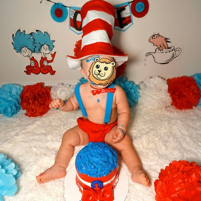 Cat in the hat first birthday outfit 2025