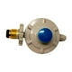 thumbnail image 1 of REGULADOR DE GAS 1 VIA IML QC-15, 1 of 4