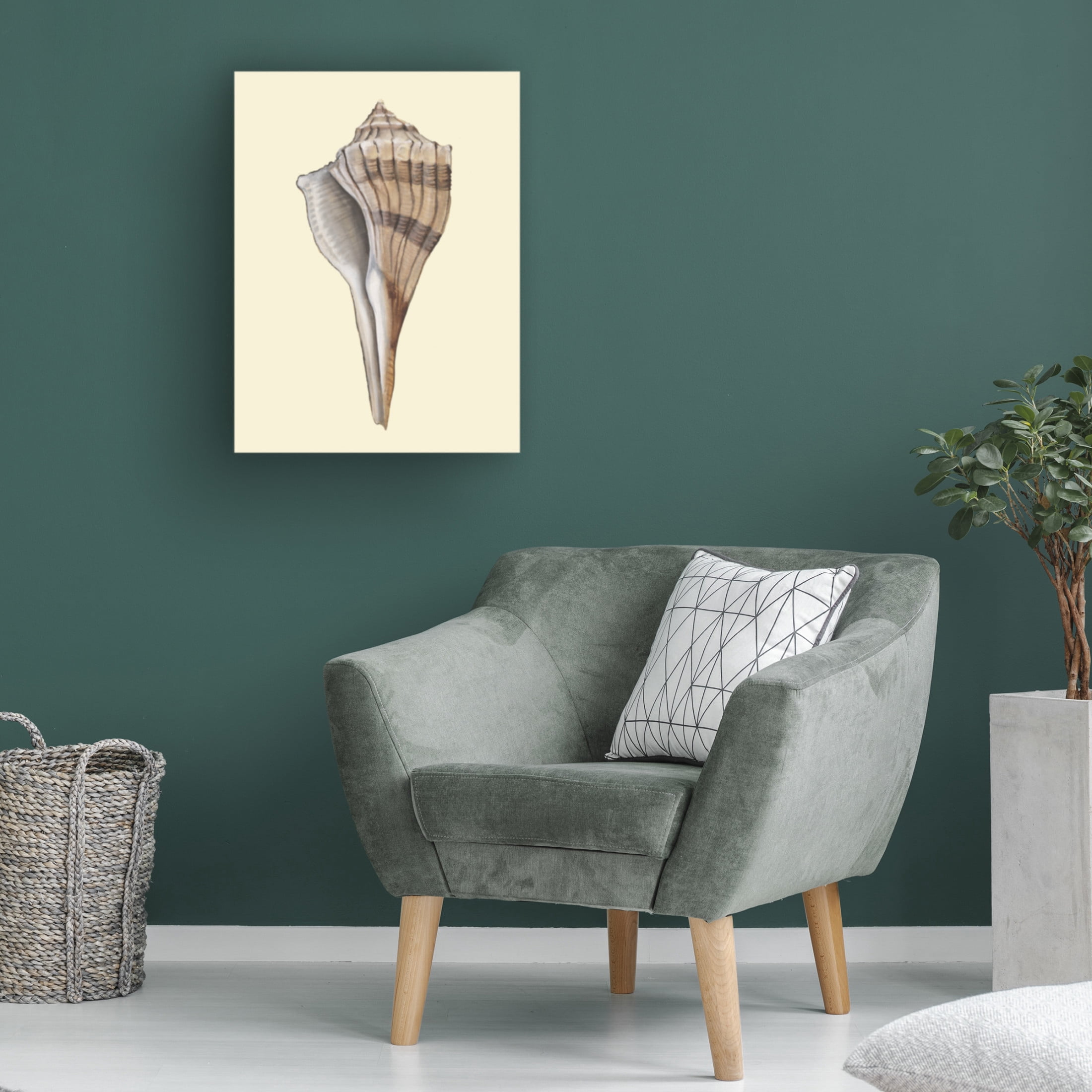 Trademark Fine Art Michael Willett Neutral-Toned Seashells IV Canvas Wall Art