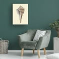 thumbnail image 3 of Trademark Fine Art Michael Willett Neutral-Toned Seashells IV Canvas Wall Art, 3 of 4