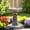 #4 Brown, variant on Hamiedun 24"H Outdoor Large Bird Bath Stand&bowls For Garden Patio Decor Concrete Home
