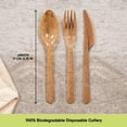 thumbnail image 2 of 100% Biodegradable Cutlery Made of Vegetable Fibers, 300 PCS of 6.7” Long Heavy-Duty and Splinter Free Eco-Friendly Spoons, Forks & Knives, Perfect Sustainable Cutlery by General, 2 of 11