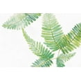 thumbnail image 2 of Paschke, Chris 18x13 White Modern Wood Framed Museum Art Print Titled - Ferns II, 2 of 4