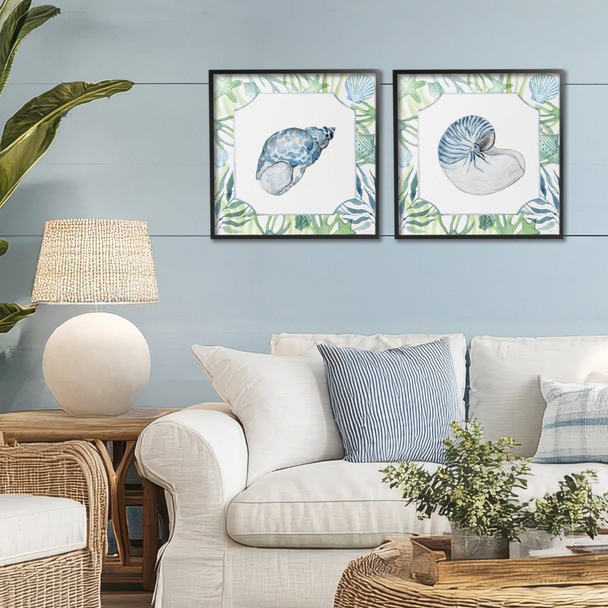 Stupell Industries Seaweed Bordered Seashells 2 Piece Black Framed Giclee Art Set, design by Janet Tava