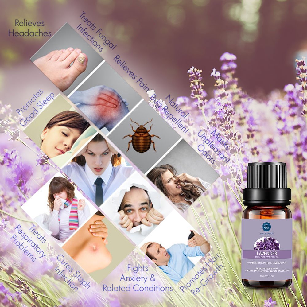 Essential Oils Gift Set,Top 6 Aromatherapy Oils Orange Lavender Tea Tree Peppermint Eucalyptus Lemongrass - image 4 of 7